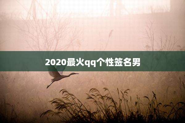 2020最火qq个性签名男