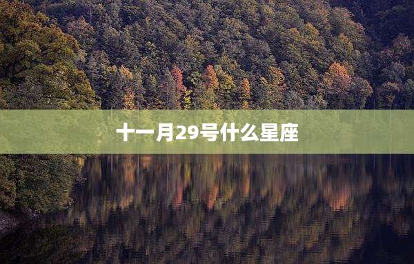 十一月29号什么星座
