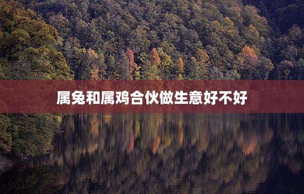 属兔和属鸡合伙做生意好不好