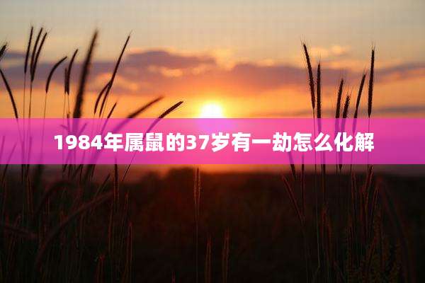 1984年属鼠的37岁有一劫怎么化解