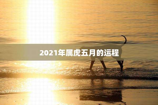 2021年属虎五月的运程
