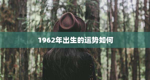 1962年出生的运势如何
