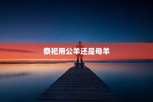 祭祀用公羊还是母羊