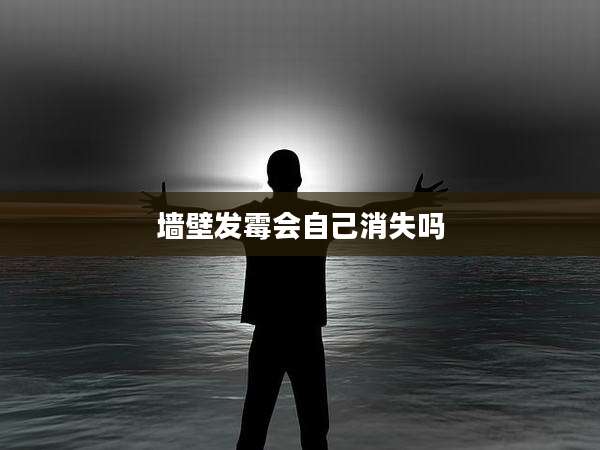 墙壁发霉会自己消失吗