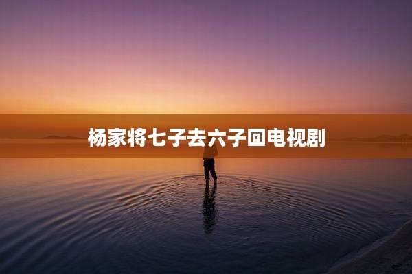 杨家将七子去六子回电视剧