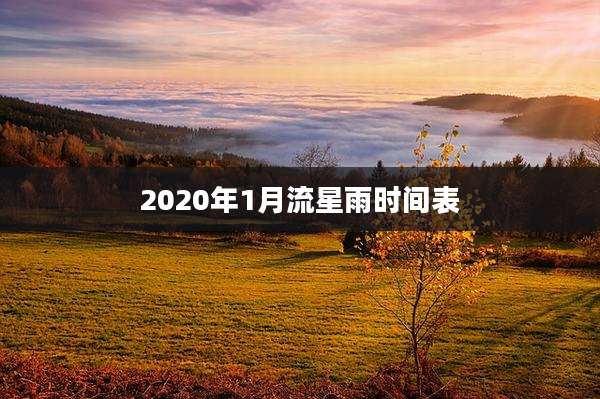 2020年1月流星雨时间表