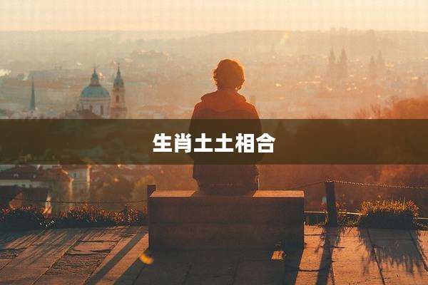 生肖土土相合