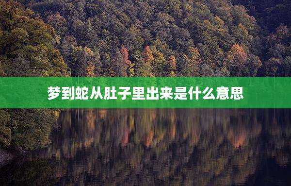 梦到蛇从肚子里出来是什么意思