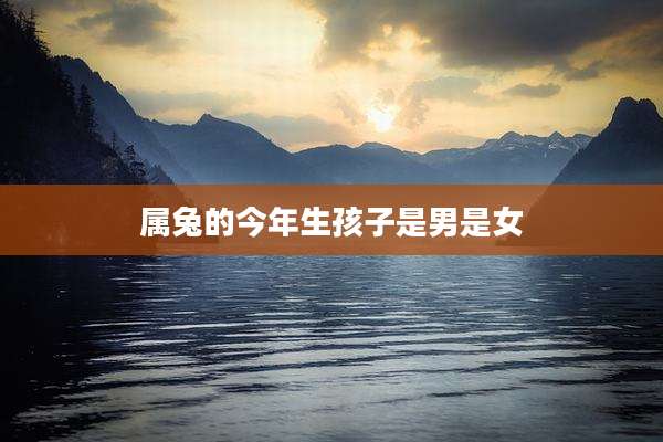 属兔的今年生孩子是男是女