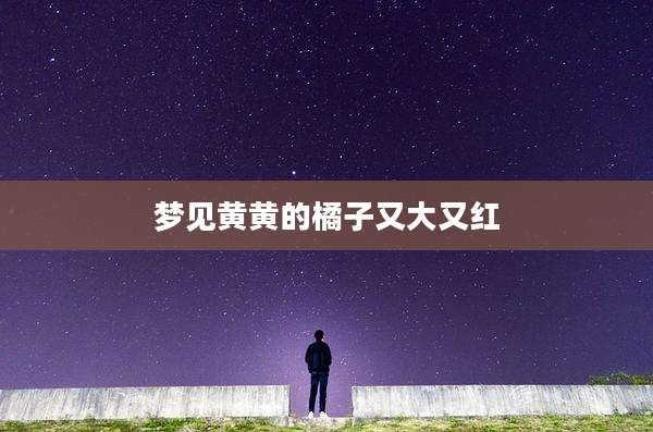 梦见黄黄的橘子又大又红