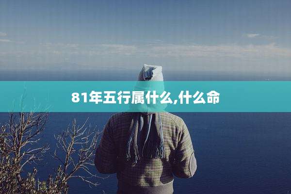 81年五行属什么,什么命