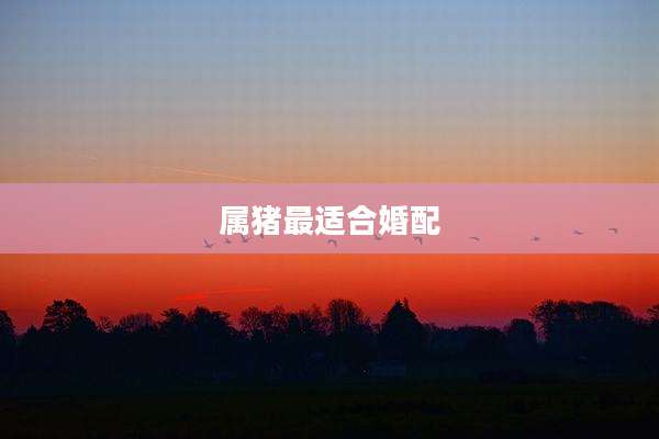 属猪最适合婚配
