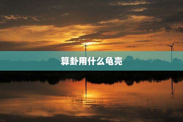 算卦用什么龟壳