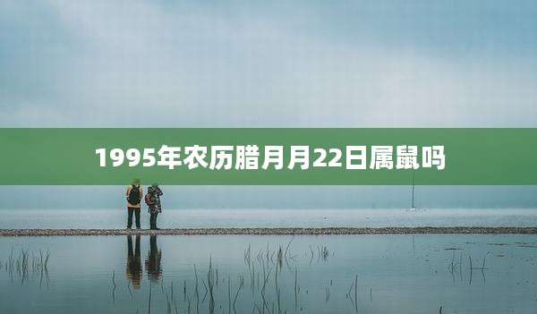 1995年农历腊月月22日属鼠吗
