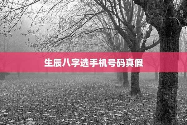 生辰八字选手机号码真假