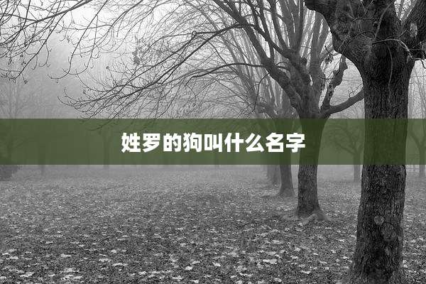 姓罗的狗叫什么名字