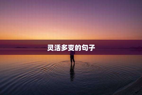 灵活多变的句子