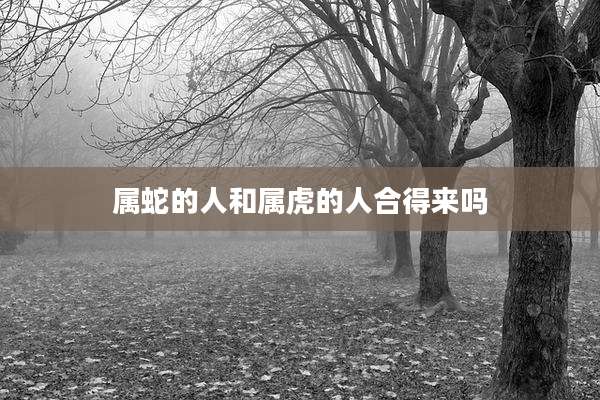 属蛇的人和属虎的人合得来吗