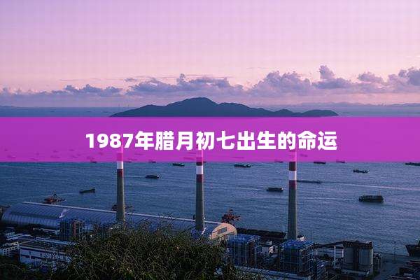 1987年腊月初七出生的命运