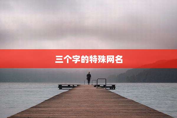 三个字的特殊网名