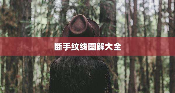 断手纹线图解大全