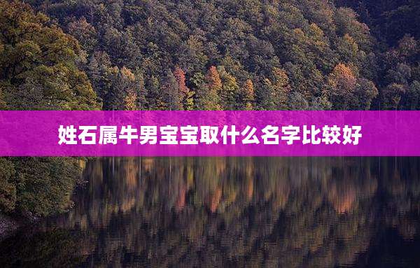 姓石属牛男宝宝取什么名字比较好