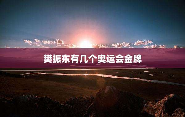 樊振东有几个奥运会金牌