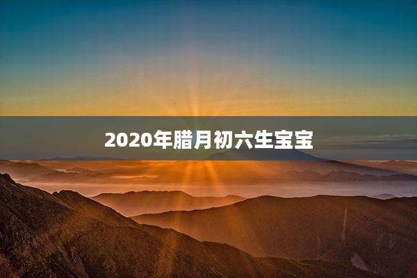 2020年腊月初六生宝宝