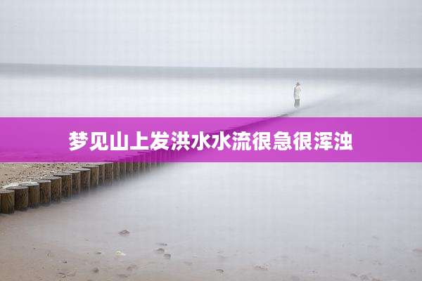 梦见山上发洪水水流很急很浑浊