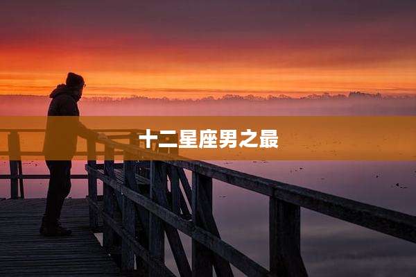 十二星座男之最