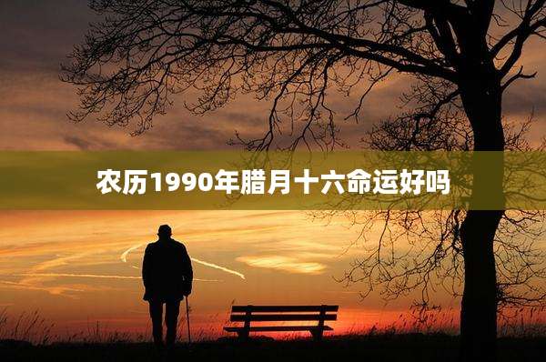 农历1990年腊月十六命运好吗