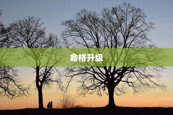 命格升级