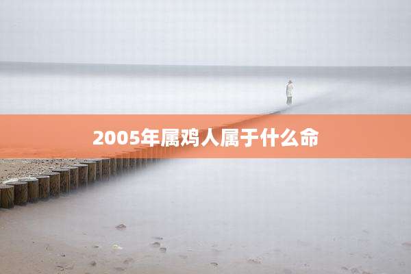 2005年属鸡人属于什么命