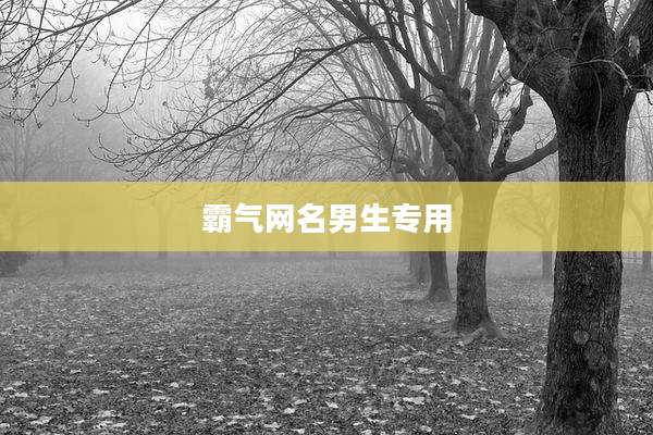 霸气网名男生专用