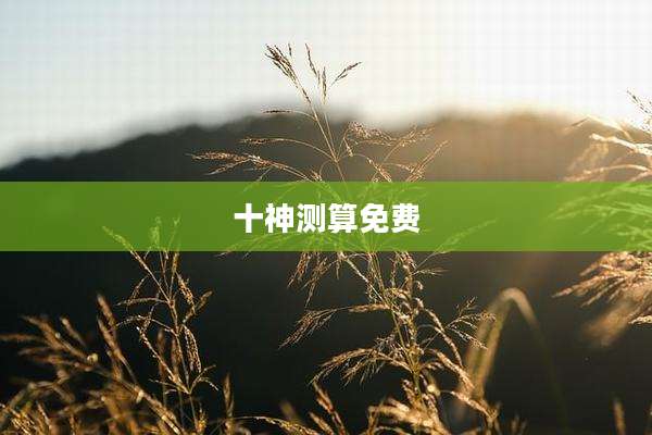 十神测算免费