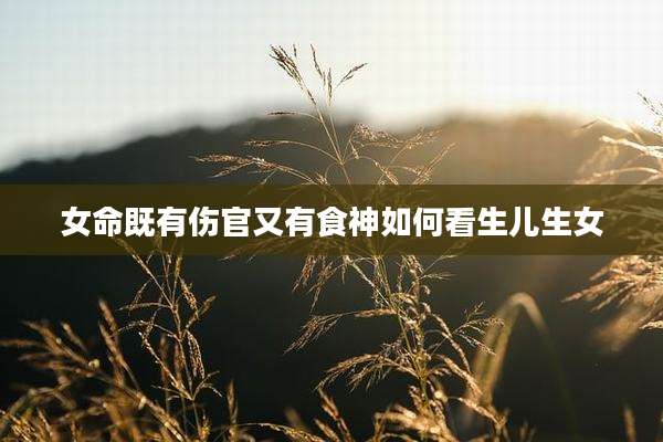 女命既有伤官又有食神如何看生儿生女