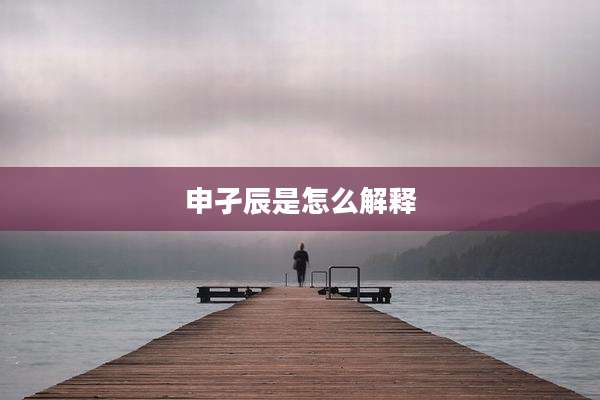 申孑辰是怎么解释