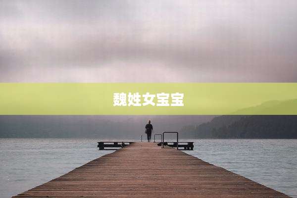 魏姓女宝宝