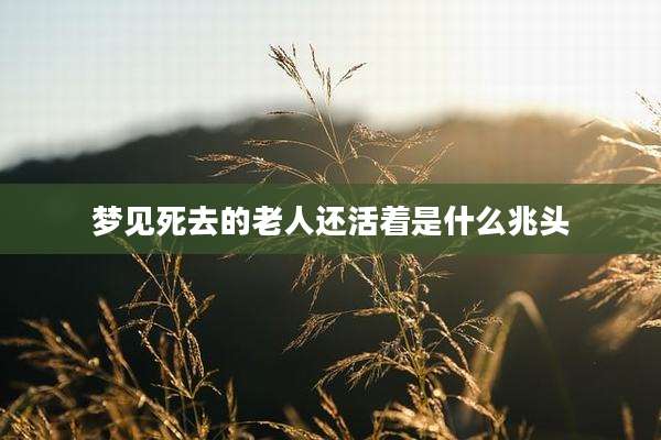 梦见死去的老人还活着是什么兆头
