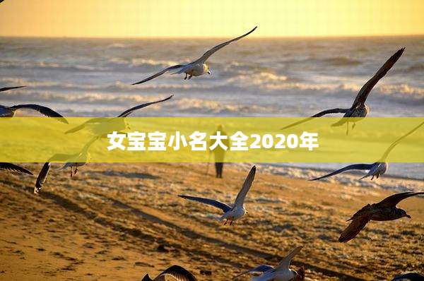 女宝宝小名大全2020年