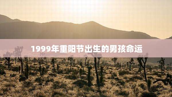 1999年重阳节出生的男孩命运