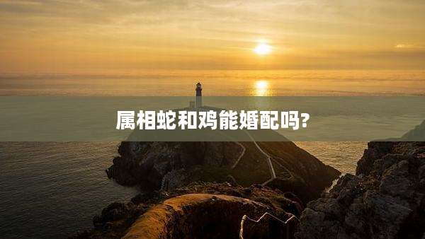 属相蛇和鸡能婚配吗?