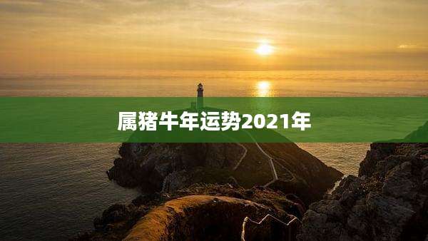 属猪牛年运势2021年