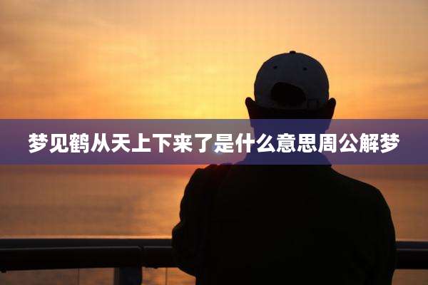 梦见鹤从天上下来了是什么意思周公解梦