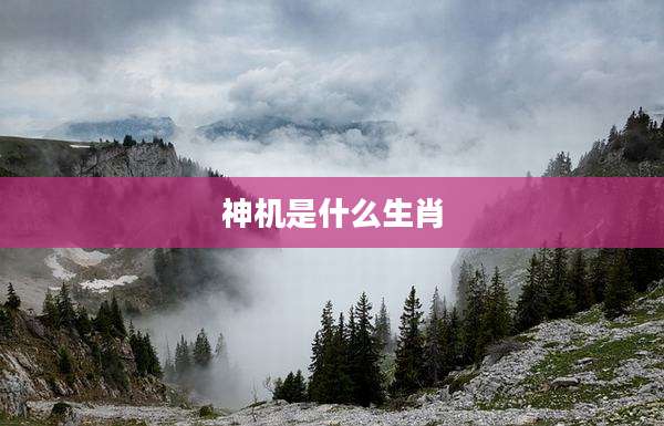 神机是什么生肖