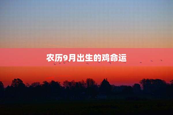 农历9月出生的鸡命运