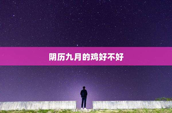 阴历九月的鸡好不好