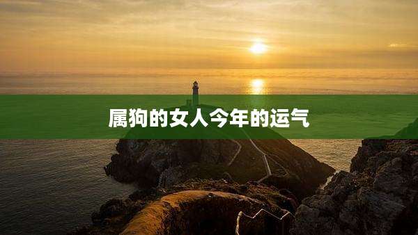属狗的女人今年的运气