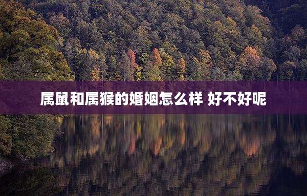 属鼠和属猴的婚姻怎么样 好不好呢
