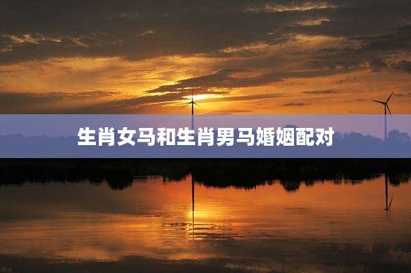 生肖女马和生肖男马婚姻配对